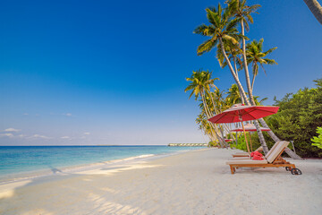 Tropical beach background summer landscape sunny sky. Chairs beds umbrella palm trees. Closeup sand calm sea waves coast. Relax wellbeing carefree summertime love couple leisure vacation destination