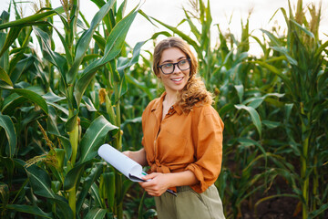 A farmer woman stands in a field and inspects a green corn plantation. Agronomist on the farm....