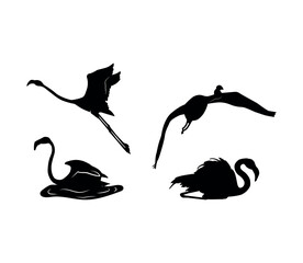 Vector flat flamingo silhouette isolated on white background