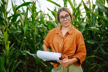 A farmer woman stands in a field and inspects a green corn plantation. Agronomist on the farm....