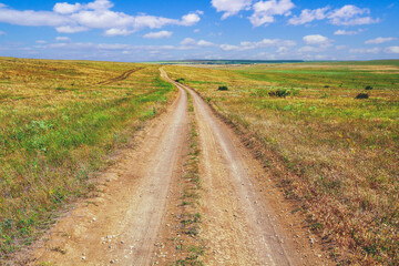 Fototapeta na wymiar Endless dirt road in the steppe in summer
