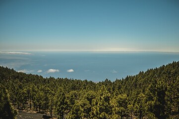 the ocean in a forested area with trees and mountains in the distance