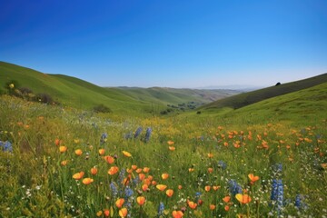 Fototapeta premium rolling hills covered in wildflowers, with clear blue sky visible, created with generative ai