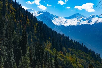 Scenic view of the snow-capped Himalayas with trees in the foreground, India. © Wildchild Shots/Wirestock Creators