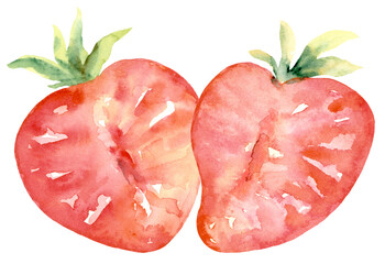Strawberry in Half, Group of 2, Small Divider and Border Watercolor Hand Painted
