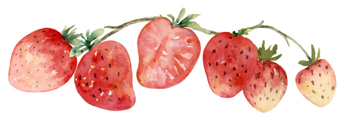 Strawberry Border with Curve Branch Watercolor Hand Painted - 618759898