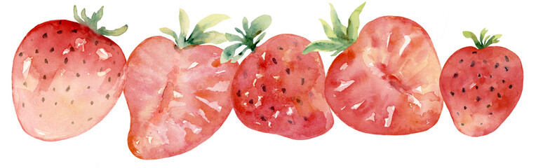 Strawberry in Line, Strait Border Watercolor Hand Painted - 618759899