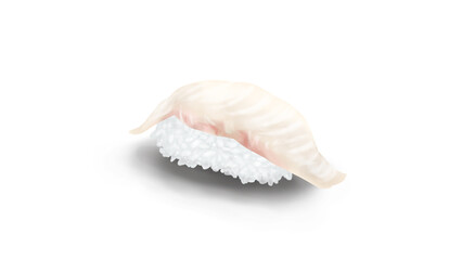 ひらめの握り寿司　リアルイラスト