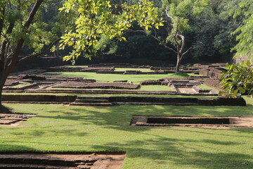 ancient place with trees in Sri Lanka