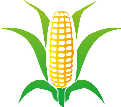 recommend clip art: Vector silhouette icon with a depiction of a mature corn cob
