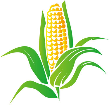 recommend clip art: Vector silhouette icon with an illustration of a mature corn cob