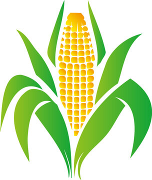 recommend clip art: Ripe corn cob depicted as a vector silhouette icon