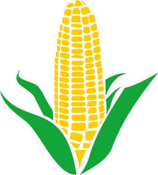 recommend clip art: Vector silhouette icon representing the natural growth of a ripe corn cob