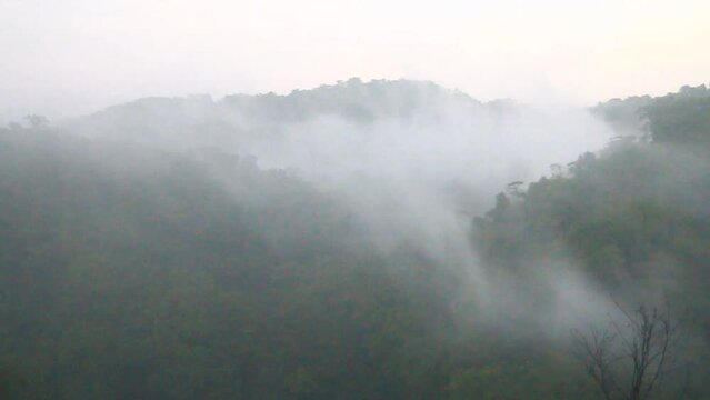 Landscape of Brahmagiri Wildlife Sanctuary in Kodagu District, Karnataka State, India