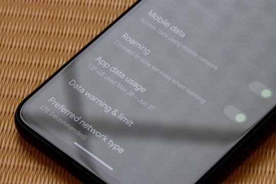 Kyoto, Japan - June 22, 2023: Mobile data and data roaming settings page is seen on a Google Pixel 4a smartphone.