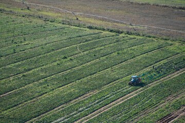 Aerial view of a tractor in a lush, green field