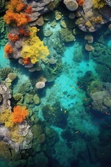 Fototapeta na wymiar top-down view of vibrant coral reefs in crystal clear water, created with generative ai