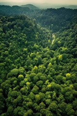 aerial view of a lush green forest, created with generative ai