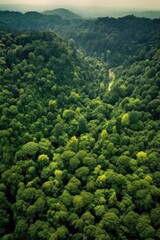 Fototapeta premium aerial view of a lush green forest, created with generative ai