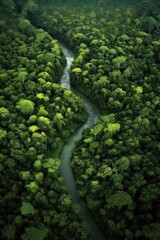 aerial view of lush green forest and winding river, created with generative ai