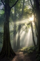 sunrays piercing through dense trees in morning fog, created with generative ai