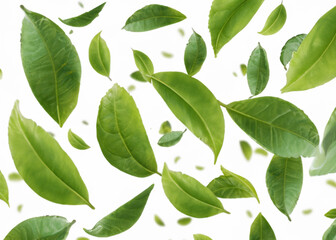 Fototapeta na wymiar fresh herbal tea isolated over white background, trendy levitation illustration created with generative ai technology