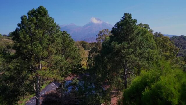 Hermoso vuelo a&eacute;reo entre &aacute;rboles que termina con el Volc&aacute;n de Fuego de Colima en el horizonte. M&eacute;xico.