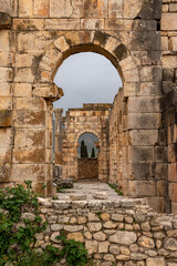 Fototapeta na wymiar Iconic ruins of the forum in Volubilis, an old ancient Roman city in Morocco