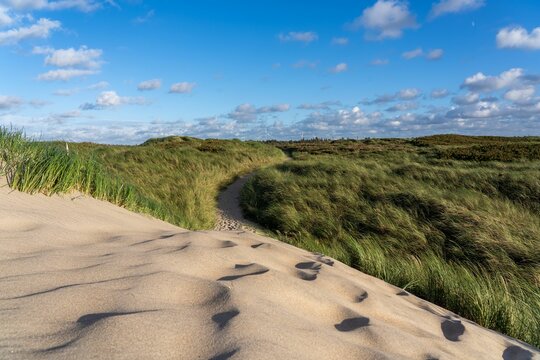 Scenic view of an open grassy field and sand dune at Thy National Park in Denmark.