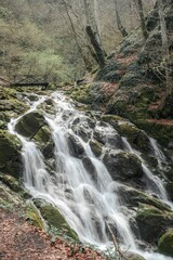 a waterfall in the middle of a forest with rocks and fallen leaves