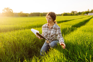 Young female farmer is studying with a tablet the young wheat in the field. Farmer touches wheat sprouts, checking growth. Concept for farm development, horticulture.