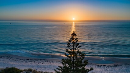 Silhouette of a tree near the sandy beach at a spectacular sunset