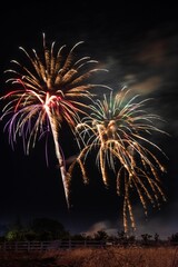 fireworks and lights in the sky and trees and a fence