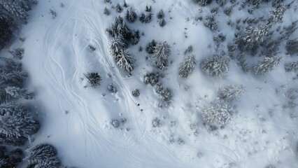 Stunning aerial view of a ski slope blanketed in a layer of fresh snow, dotted with trees