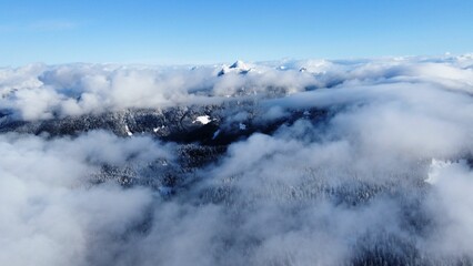 Stunning view of the clouds over the mountains covered in dense trees at sunlight