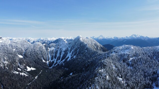 Mesmerizing view of a winter scene of snow-capped mountains and evergreen pine trees