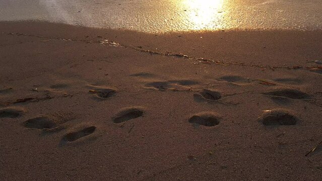 Footprints on a sandy beach with waves washing onto the beach at sunset.