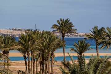 Fototapeta na wymiar Scenic view of green palm trees against the Red Sea in Hurghada, Egypt