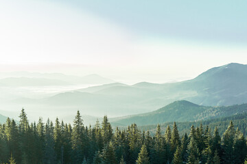 landscape in the mountains silhouettes of mountains, forest, travel, in green tones, travel, Carpathian mountains, hiking in the mountains, poster, wallpaper