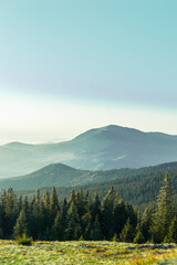 landscape in the mountains silhouettes of mountains, forest, travel, in green tones, travel, Carpathian mountains, hiking in the mountains, poster, wallpaper