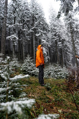 Fototapeta premium man in the middle of snow-covered Christmas trees, pine tree winter, forest, travel, walks, winter sports, fairy tale, recreation
