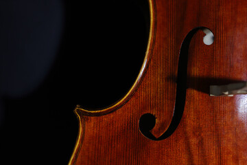 Part of cello strings on bridge of artisan instrument close-up.