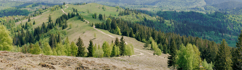 Banner with a path leading to the mountains