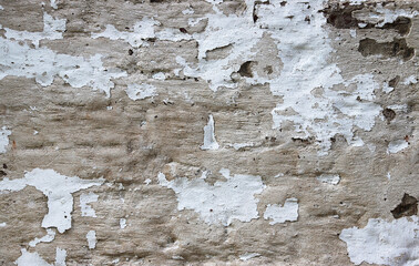 Old grey cement wall. Grunge wall texture background.