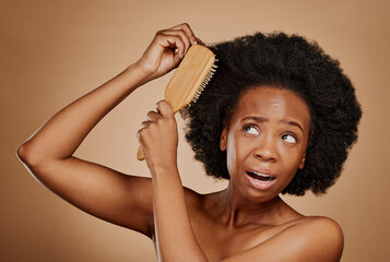 Black woman, problem and brushing hair in studio, brown background and tangled afro. Beauty, unhappy female model and comb knot in hairstyle with anxiety, pain and stress of damage to curly texture