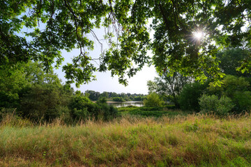 Loire river bank near Jargeau village