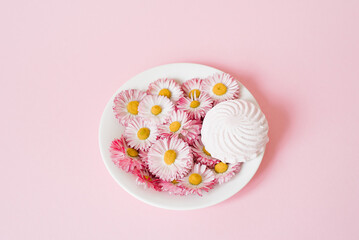 Creative composition. Flowers daisies and marshmallows on a plate with copy space