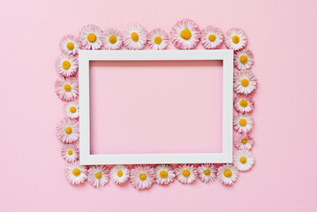 Daisy flowers with a white frame with a top view
