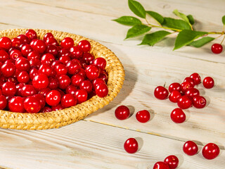 Wicker straw plate full of ripe cherries