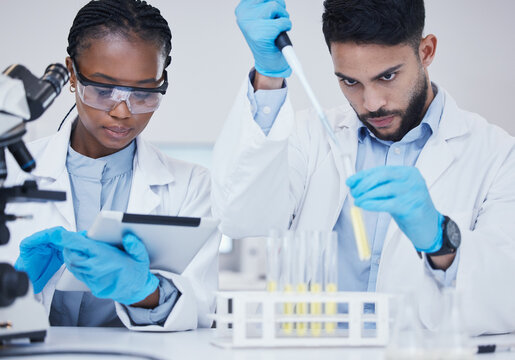 Man, black woman or scientists with test tubes in research for medical, experiment assessment or innovation. Tablet, studying biotechnology or researchers team in laboratory for science development